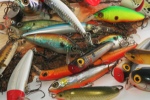 the bassbluefish&trout leigon-(BBTL)