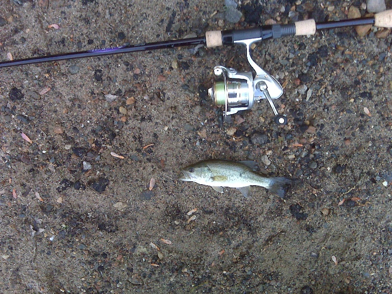 5/14/10 - Heard Pond
