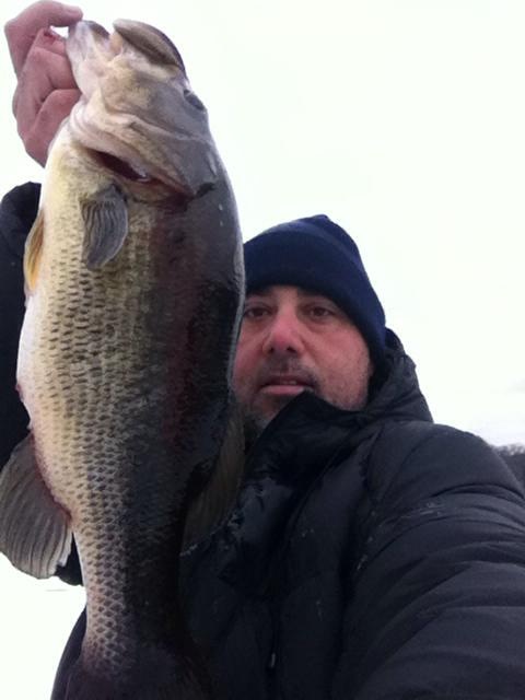 Vin's Lunker Bass 4-1/2lbs